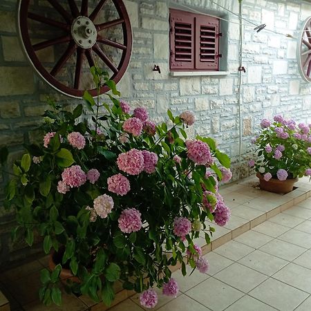 Apartman Sunce Umag Extérieur photo