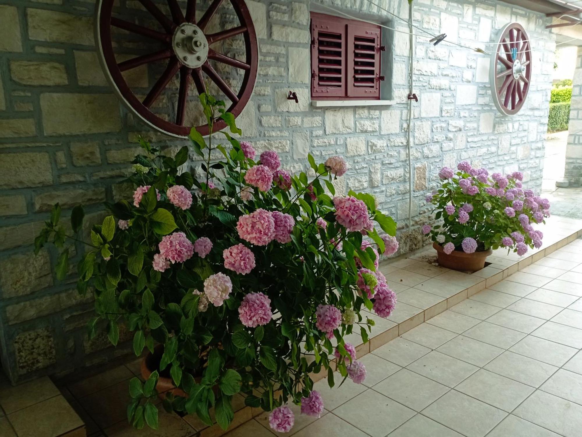 Apartman Sunce Umag Extérieur photo